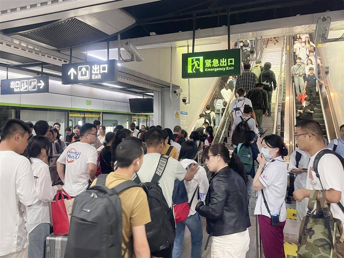 悠悠捕鱼
